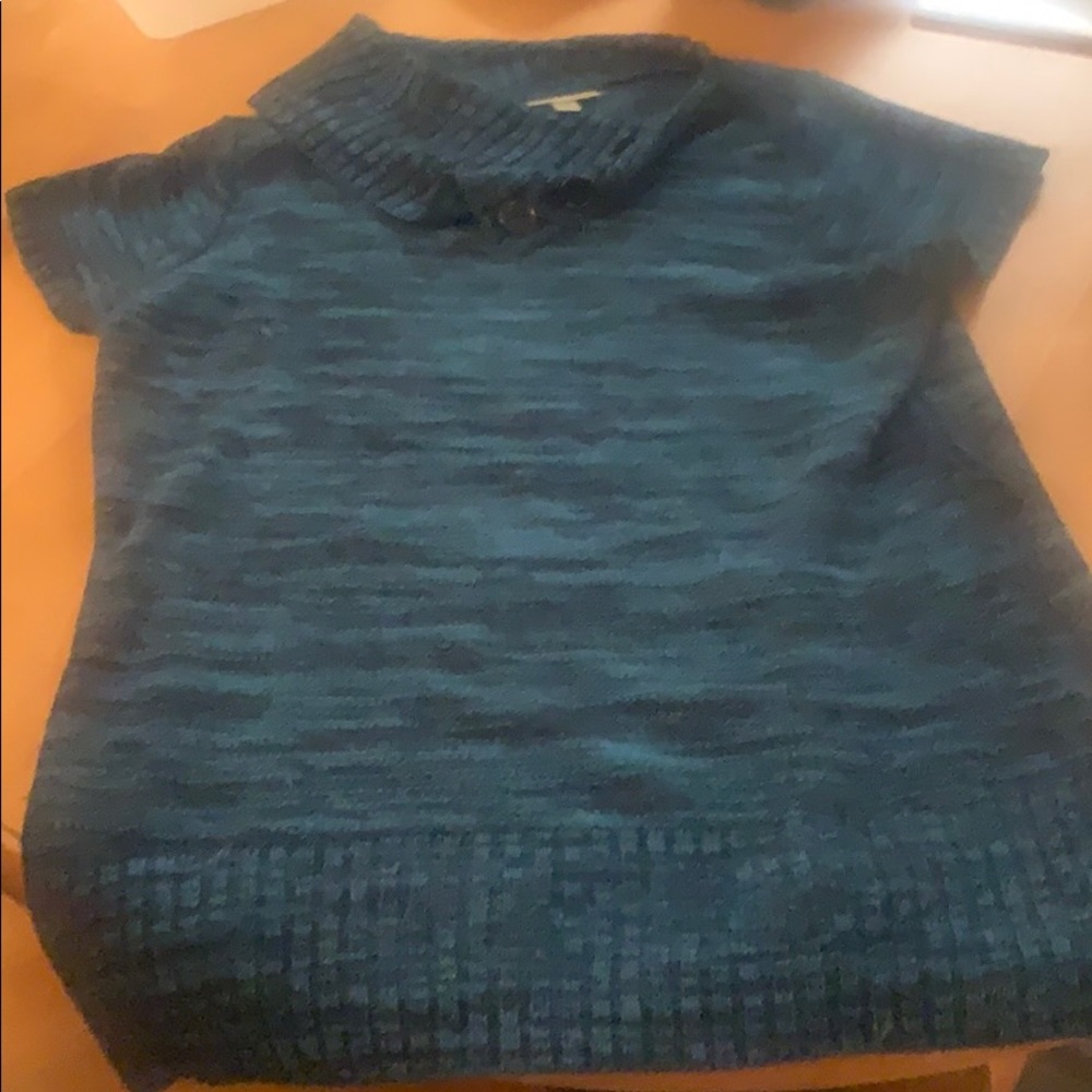 Dressbarn Short Sleeved Sweater Blouse
